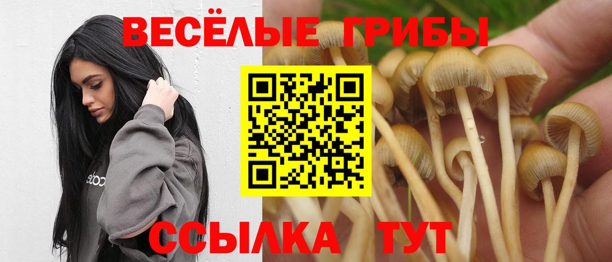 Галлюциногенные грибы GOLDEN TEACHER Тверь