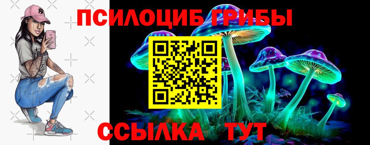 Псилоцибиновые грибы мицелий  Псилоцибиновые грибы Cubensis  Тверь  Вход с VPN 